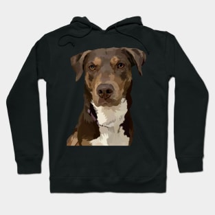 Layla Dog Hoodie